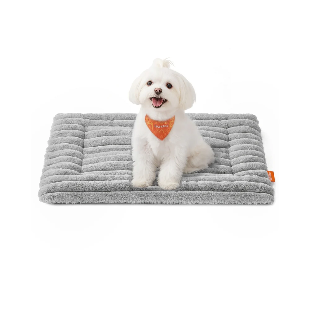 Couverture pour chien douce et facile Ă laver