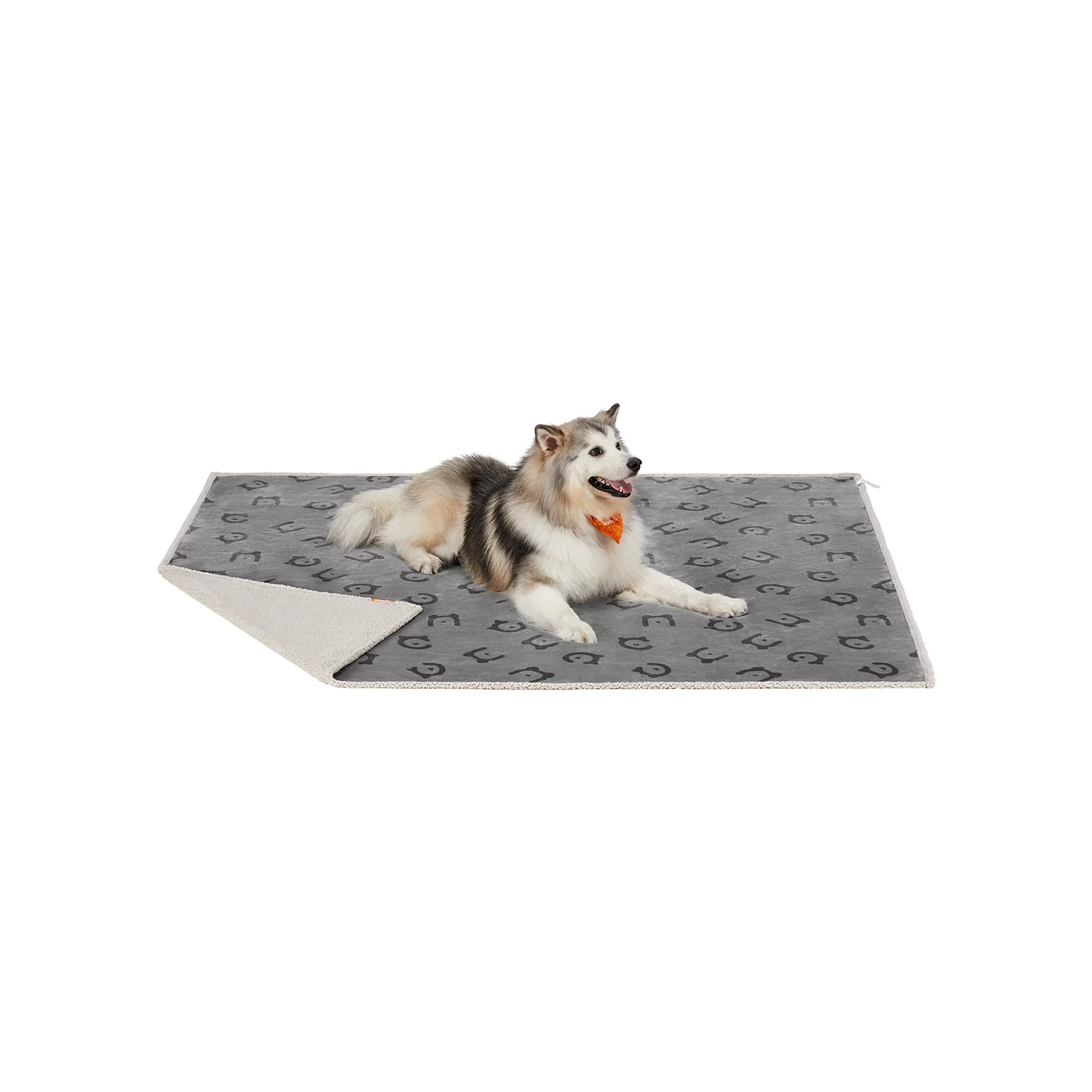 Couverture Chien Hydrofuge - Image 2